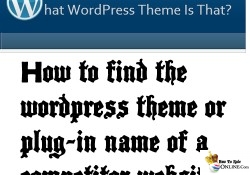 How to find the wordpress theme or plug-in name of a competitor website or blog